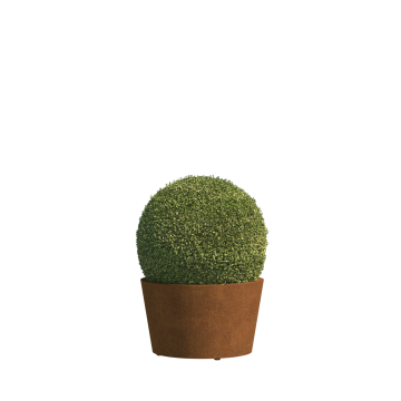 Vigo Mini