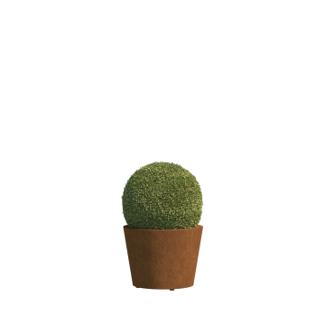 Bari Mini