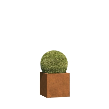 Jardinière - Lecce Maxi avec des rôles- acier corten