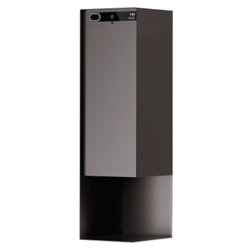 Smart Boîte à colis Custo - Gris-Marron