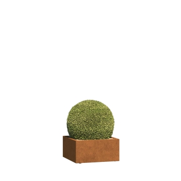 Jardinière - Triest Mini -avec des rôles - acier corten