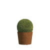 Vigo Medium