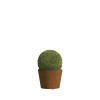 Bari Mini