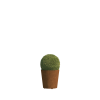 Tarent Medium