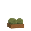 Jardinière - Verona Mini - acier corten