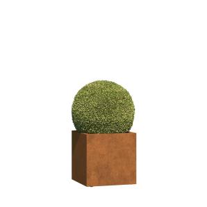 Jardinière avec des rôles