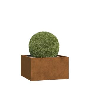 Jardinière