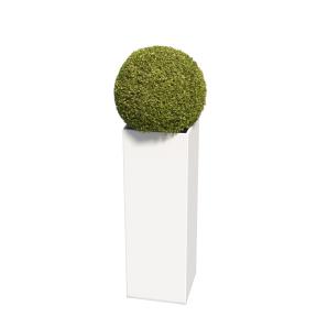 Jardinière Inox